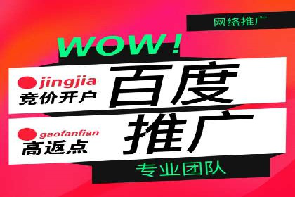 信息流广告投放公司案例创新思路